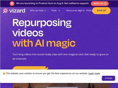 Vizard