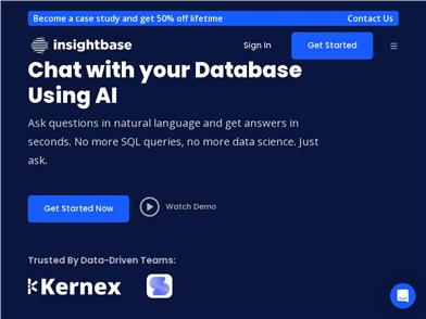 InsightBaseAI