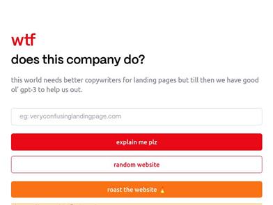 WTF Does This Company Do?