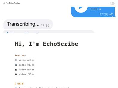 EchoScribe