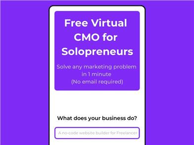 Virtual CMO