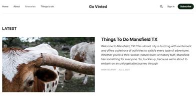 Go Vinted