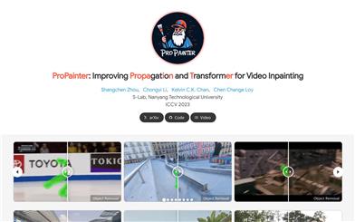 ProPainter