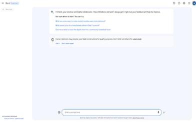 Google Bard AI