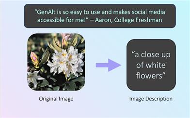 GenAlt - Generated AI Image Descriptions