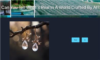 Real Or AI