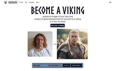 VikingPic