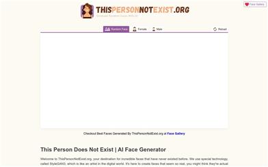 This Person Does Not Exist
