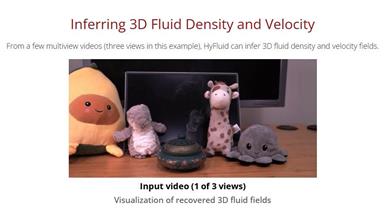 HyFluid