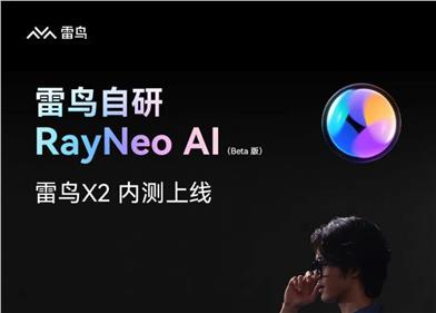 RayNeo AI