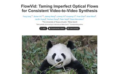 FlowVid