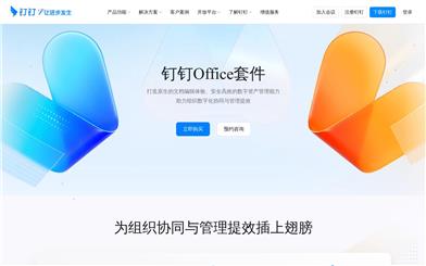 DingTalk Office Premium Edition