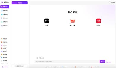 智心云言
