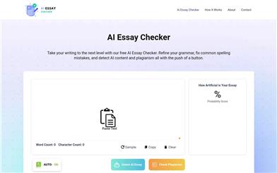 AI Essay Checker