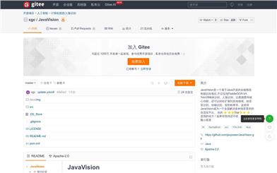 JavaVision