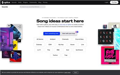 Splice Create