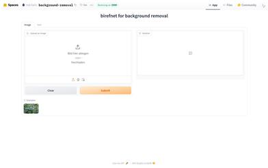 BirefNet for Background Removal