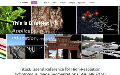 BiRefNet