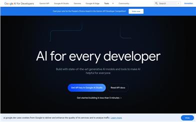 Google AI for Developers