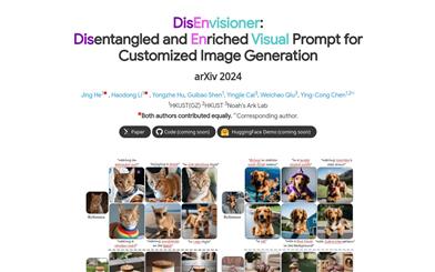 DisEnvisioner