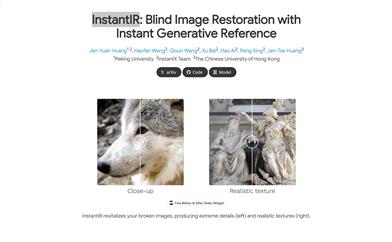 InstantIR