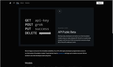xAI API