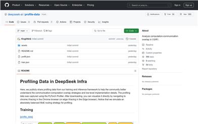 DeepSeek Infraにおけるプロファイリングデータ