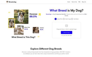 Breed.dog