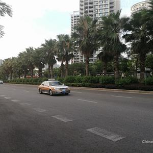 大众出租车