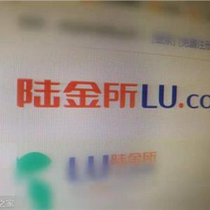 陆金所用户