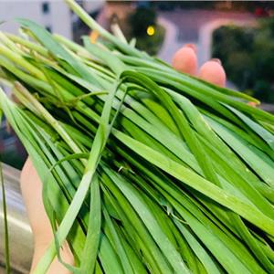 币圈韭菜