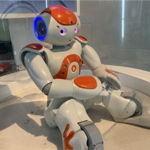 AI早教机器人