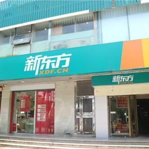 新东方在线财报
