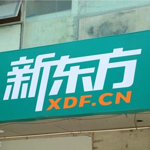 新东方seo