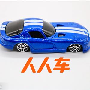 人人车车主