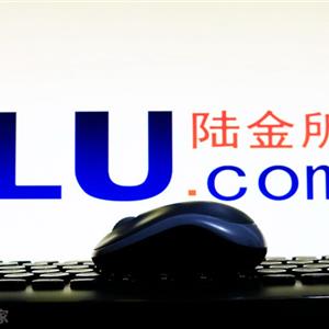 陆金所融资
