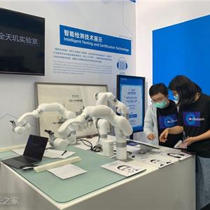 大规模人形机器人