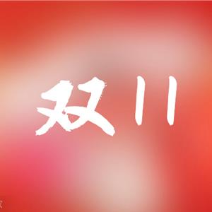 双11销售战报
