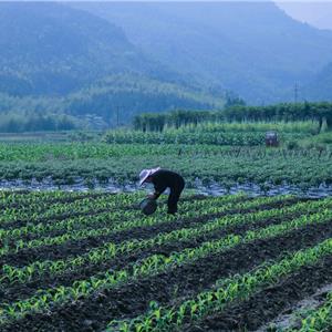 农民生活圈百家号